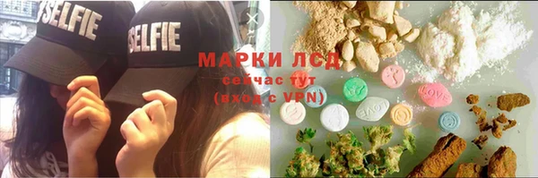ПСИЛОЦИБИНОВЫЕ ГРИБЫ Гатчина