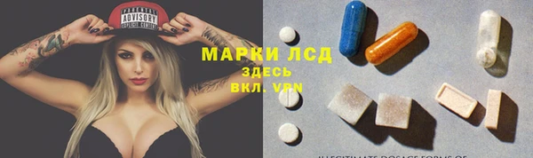 прущие грибы Галич