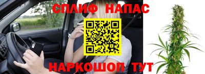 стафф Заводоуковск