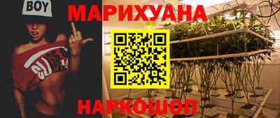 стафф Заводоуковск