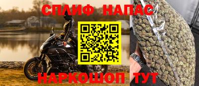 стафф Заводоуковск