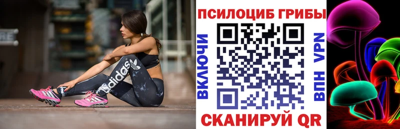 KRAKEN вход  Людиново  Галлюциногенные грибы MAGIC MUSHROOMS 