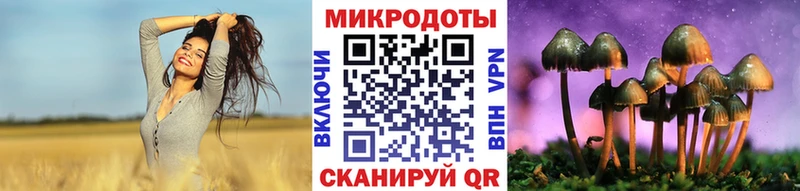 Галлюциногенные грибы Psilocybe Людиново