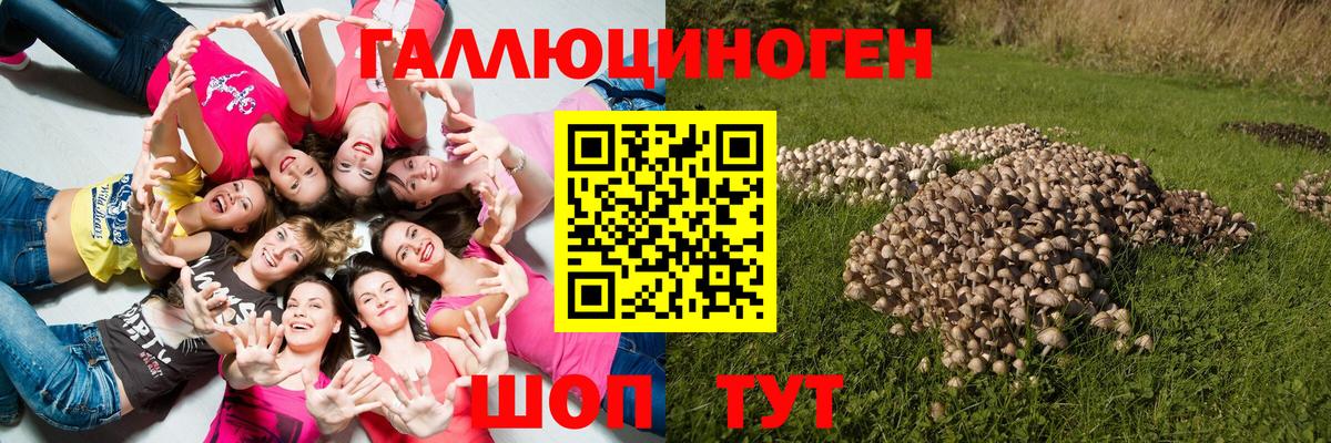 Галлюциногенные грибы прущие грибы Людиново