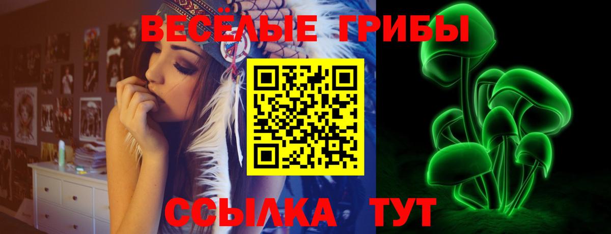 Псилоцибиновые грибы мицелий  магазин продажи   Людиново 